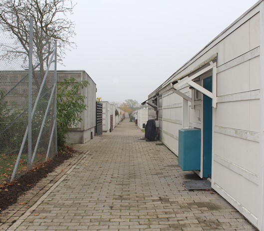 efterår 2015_0095.JPG