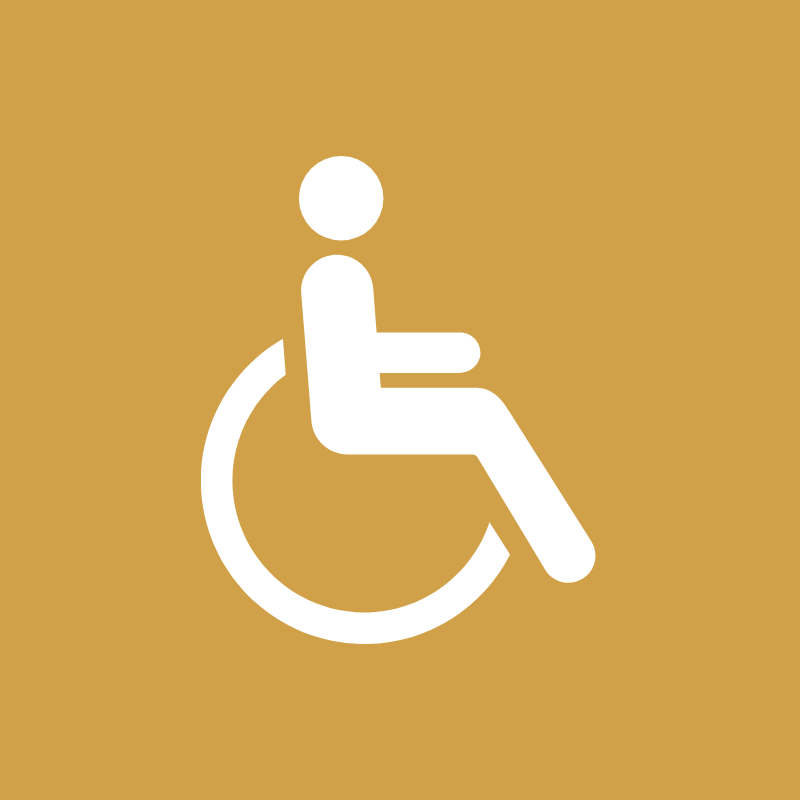 Tilgængelighed / Handicap