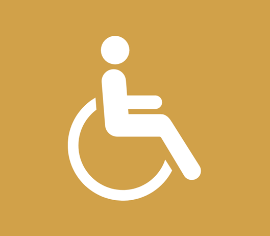 Tilgængelighed / Handicap